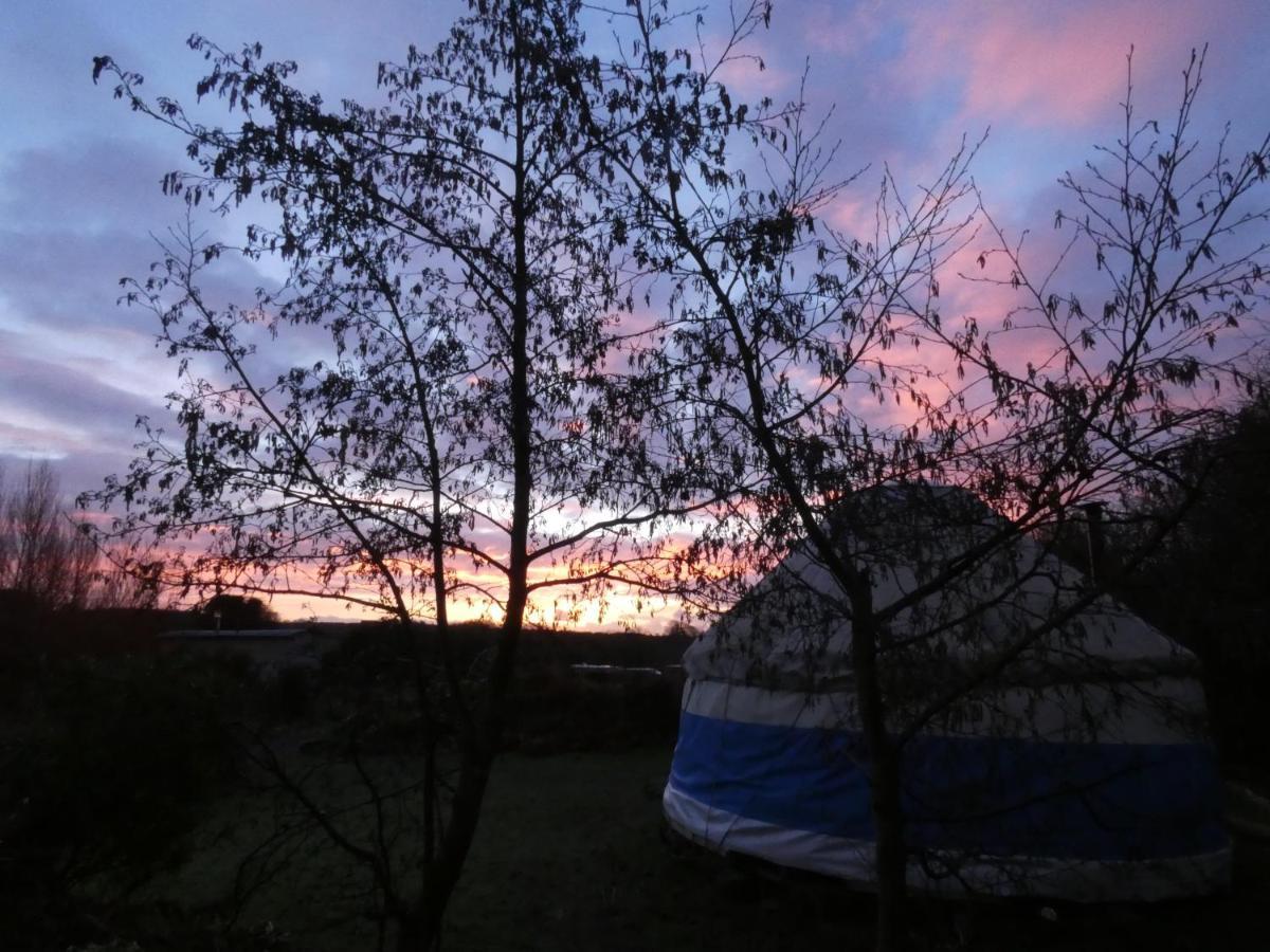 Inch Hideaway Eco Camping Whitegate  ภายนอก รูปภาพ