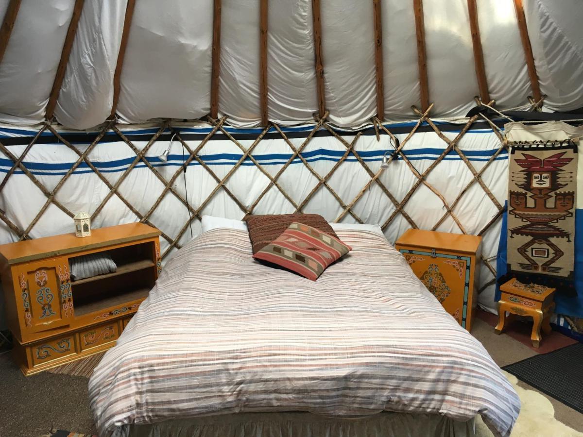 Inch Hideaway Eco Camping Whitegate  ภายนอก รูปภาพ
