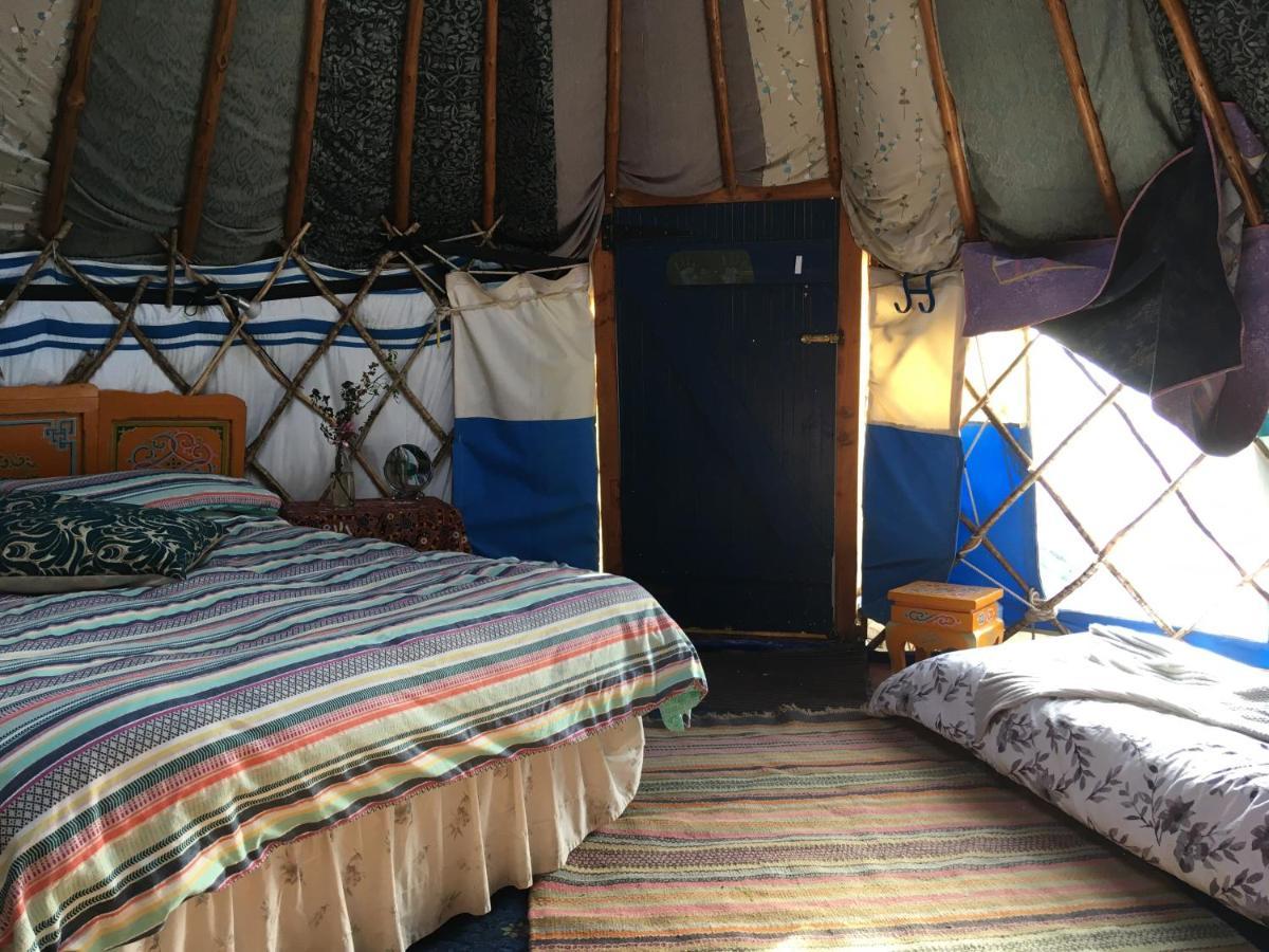 Inch Hideaway Eco Camping Whitegate  ภายนอก รูปภาพ