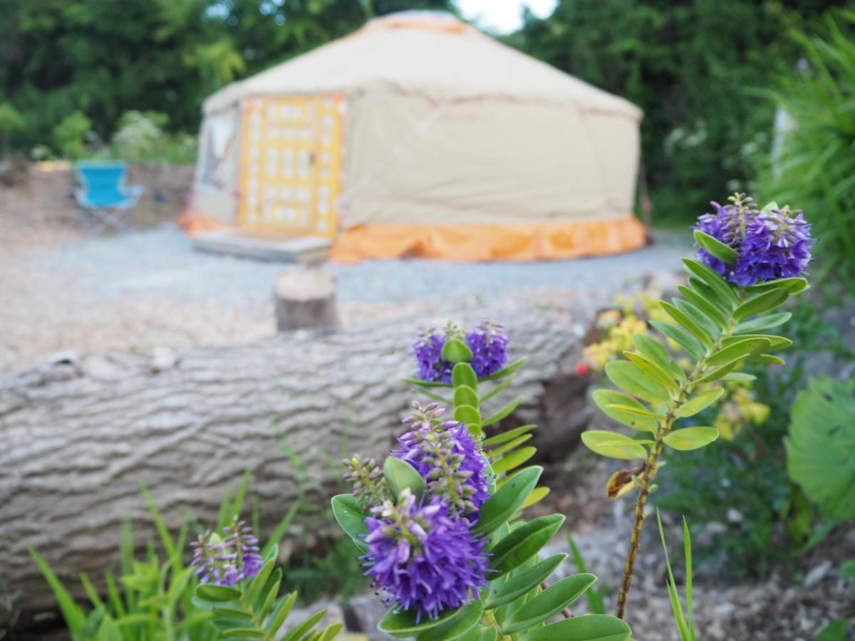 Inch Hideaway Eco Camping Whitegate  ภายนอก รูปภาพ
